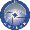 INFORME ANUAL DE LABORES 2004
